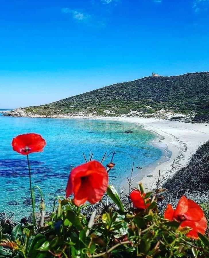 Апартаменти La Balagne Ca Nous Gagne Альгайола Екстер'єр фото